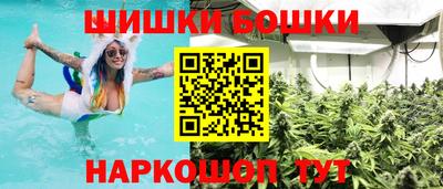 прущие грибы Лесосибирск