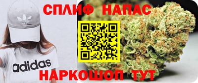 прущие грибы Лесосибирск