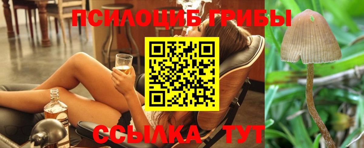 Галлюциногенные грибы MAGIC MUSHROOMS Великие Луки