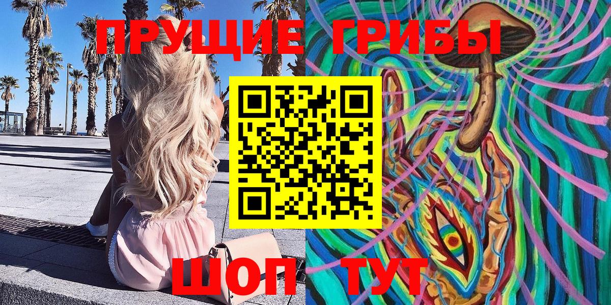 Великие Луки  Псилоцибиновые грибы ЛСД  Вход с VPN 