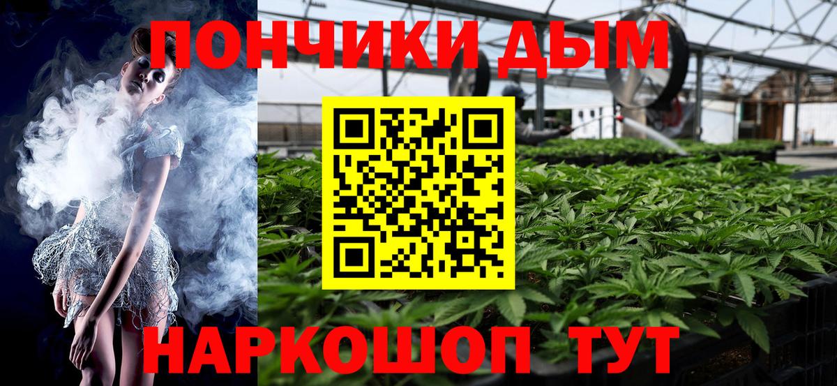 Бошки Шишки марихуана Великие Луки